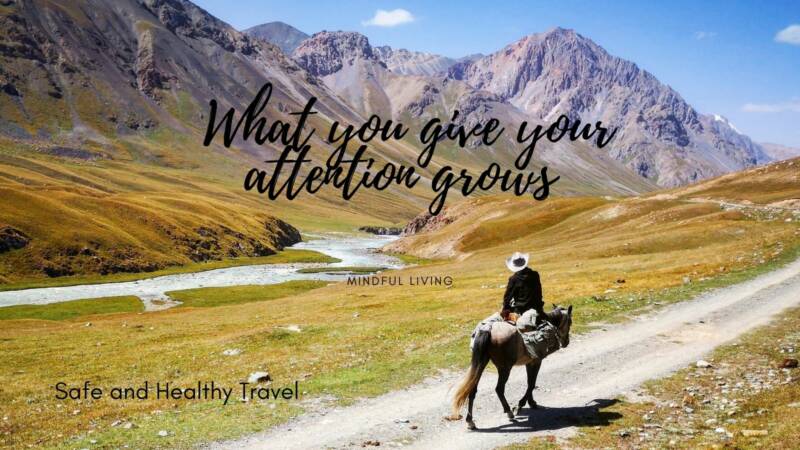 Mindful living - What you give your attention grows