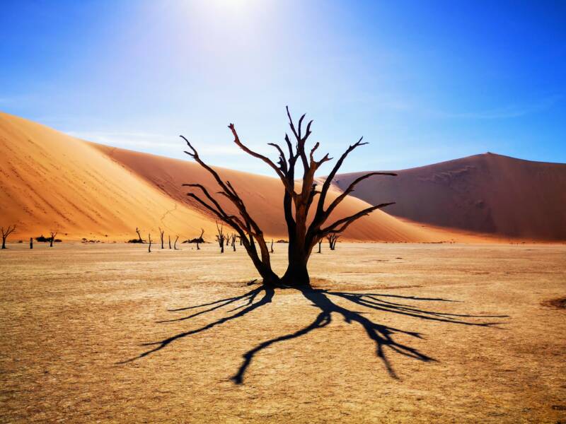 Deadvlei - Sesriem Namibia