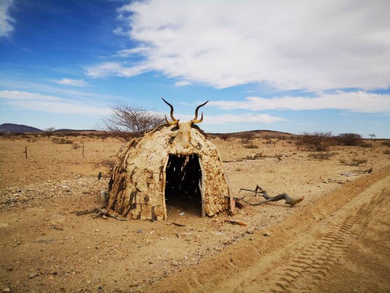 Wat je zoal tegenkomt in de Namib woestijn 
