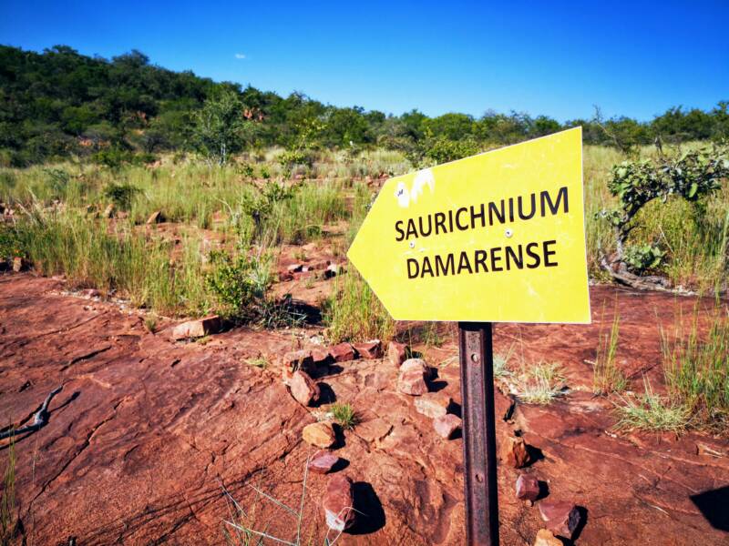 Dinosaur Track near mt Etjo - Spots of Interest of Namibia 