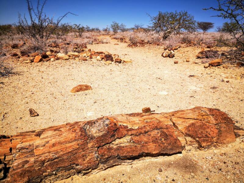 Natural Heritage of Namibia - Petrified forest 