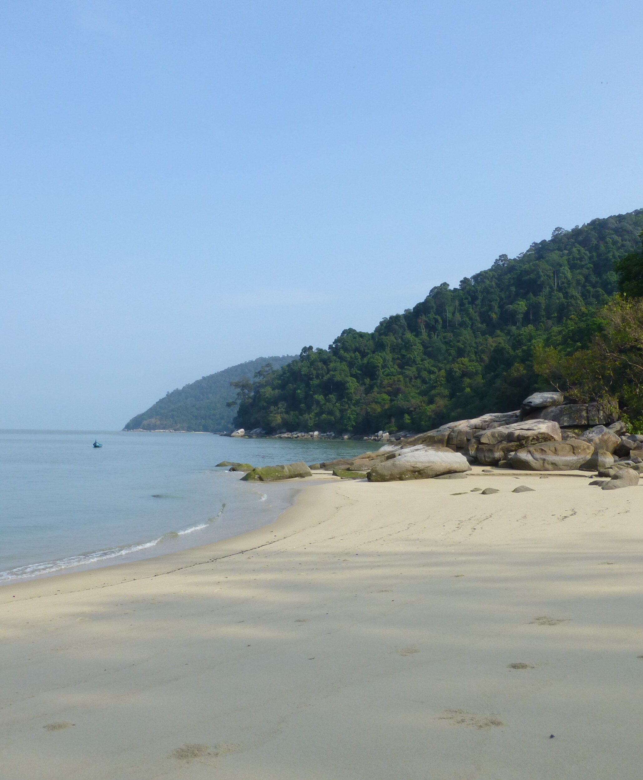 Pulau Penang National Park Hiking