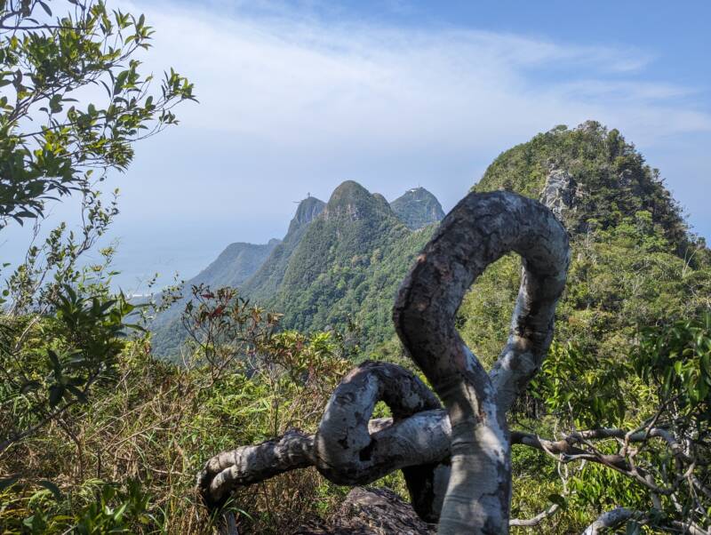 Hiking on Gunung Machinchang