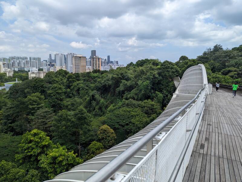 Hiking in Singapore