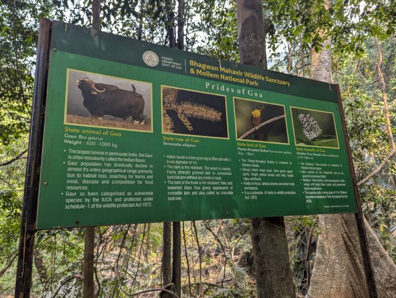 Mollem National Park near Dudhsagar Falls, Goa - India