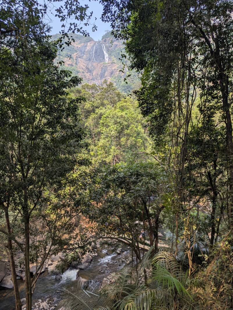 View on Dudhsagar Falls walking - Dudhsagar Falls Guide