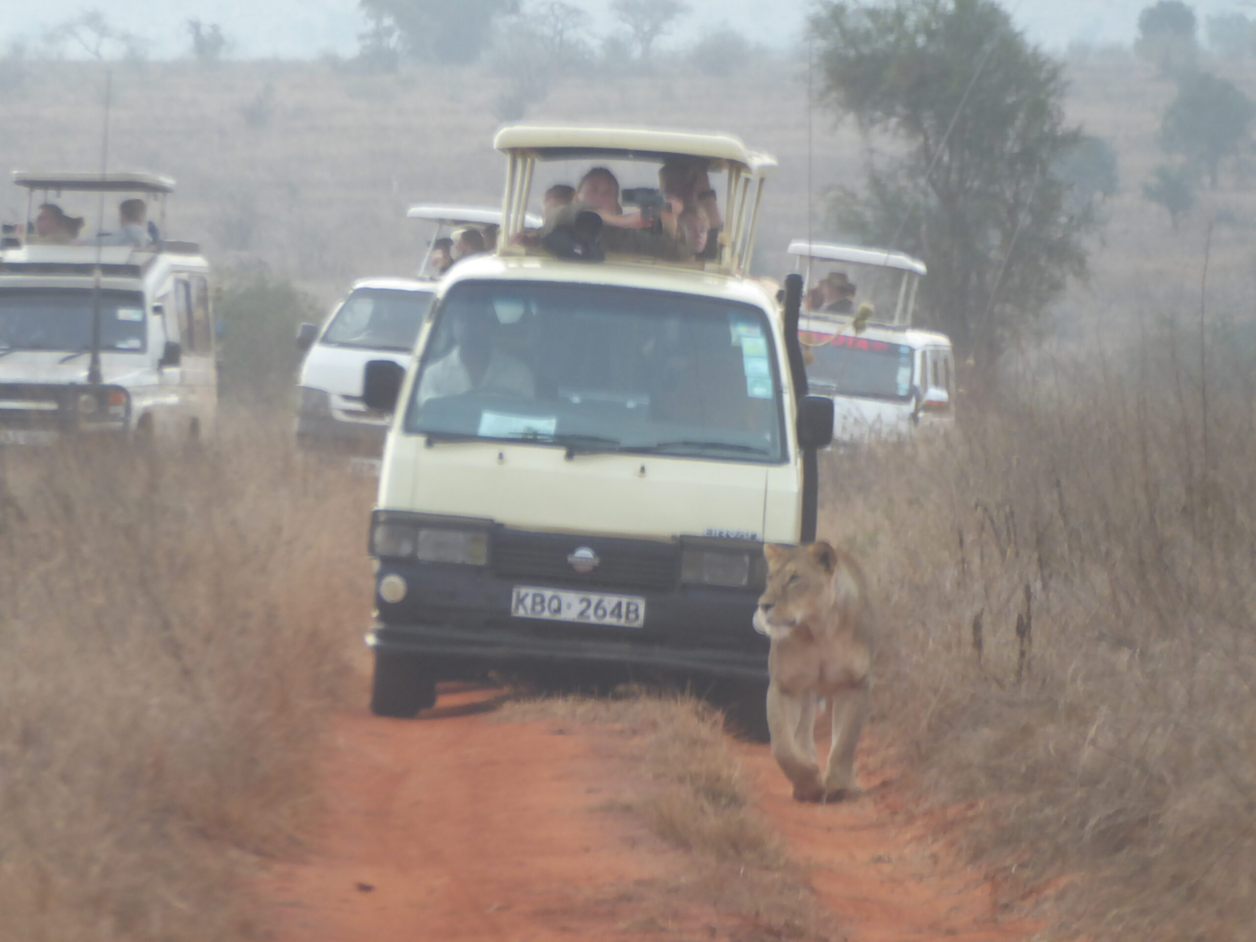 Car rental Kenya