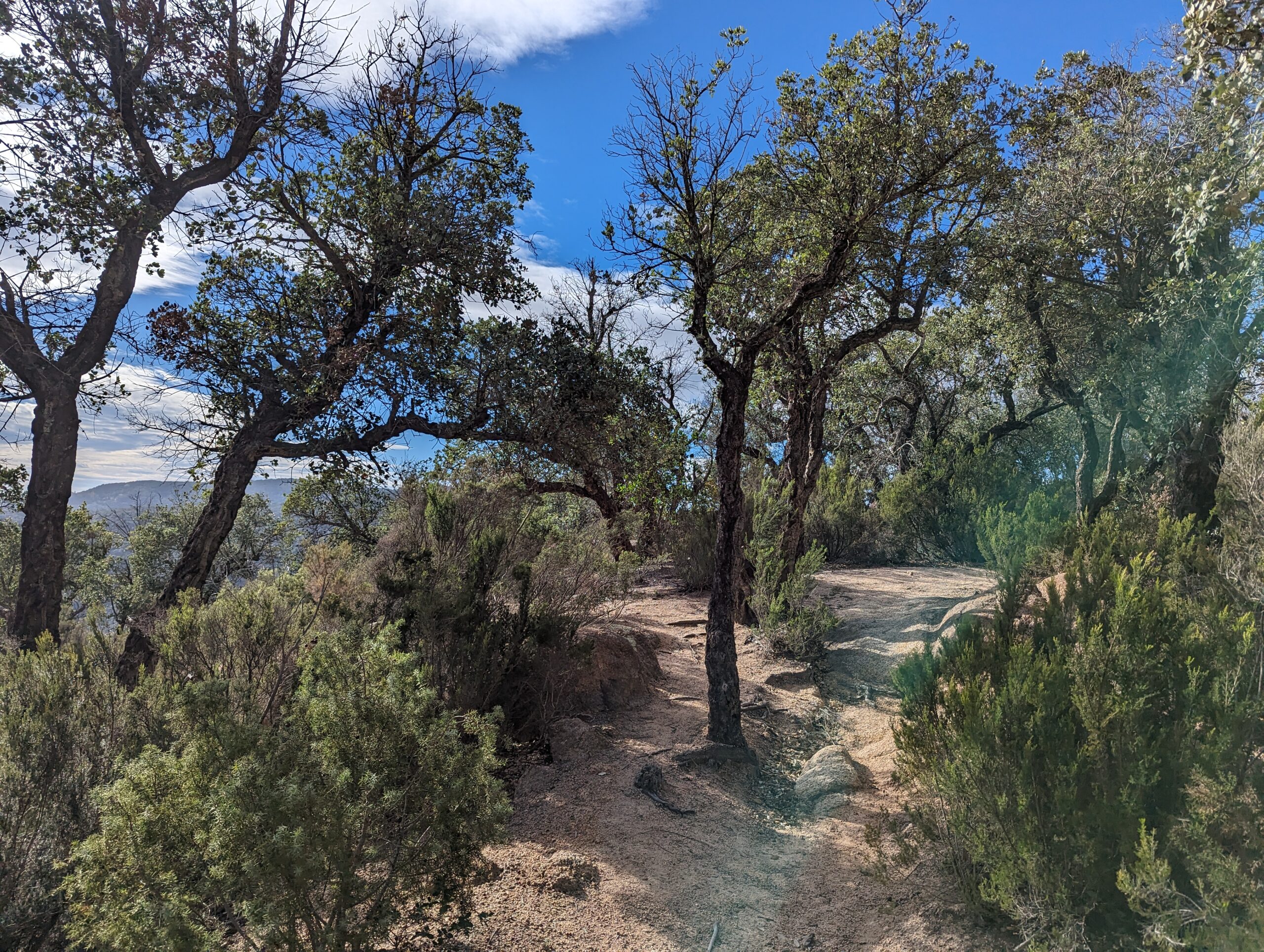 Camino de Ronda, Spain