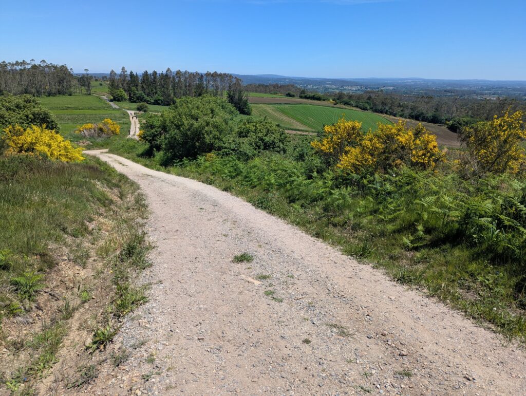 Camino Finisterre Guide