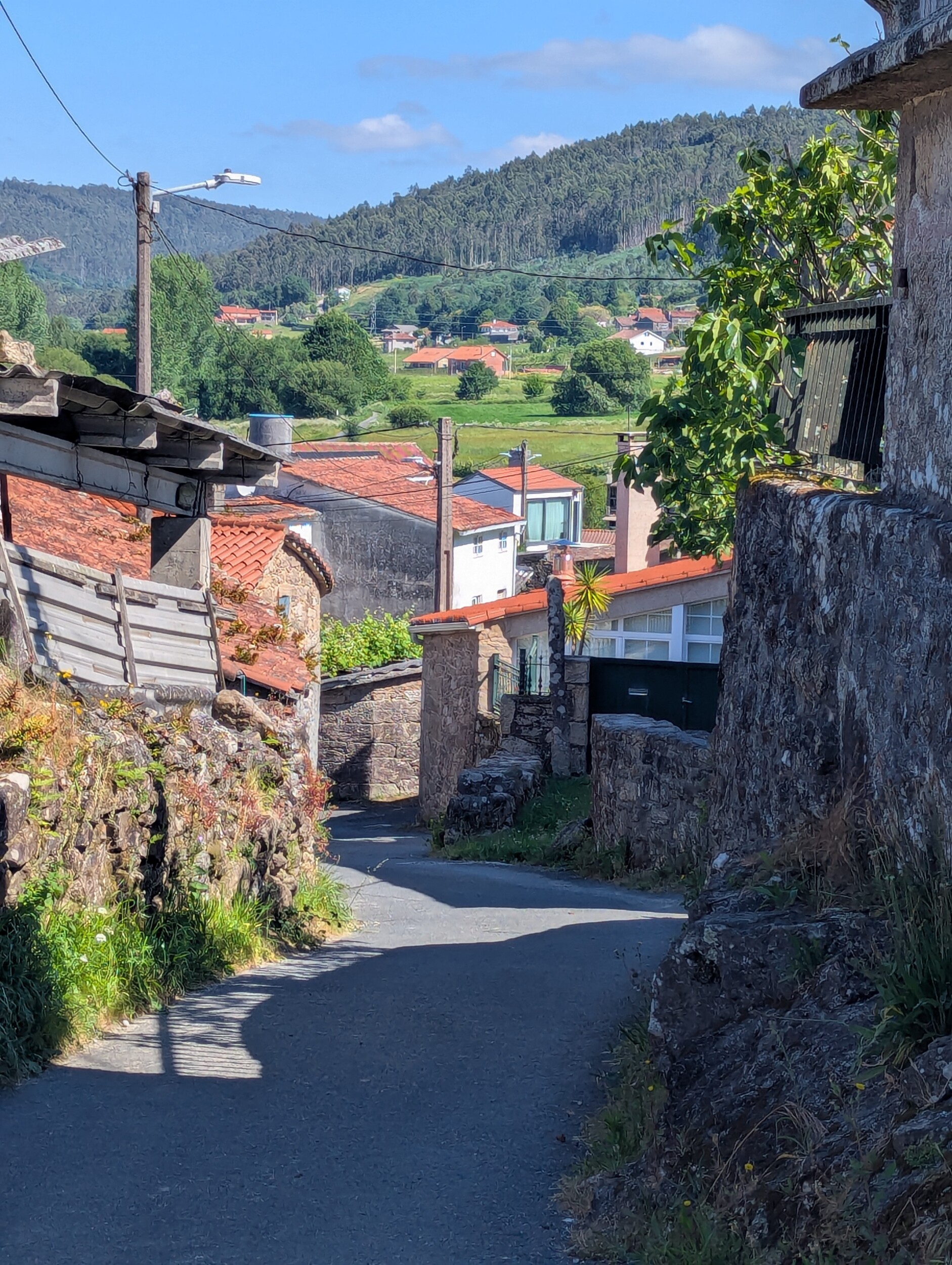 Camino finisterre Guide Spain