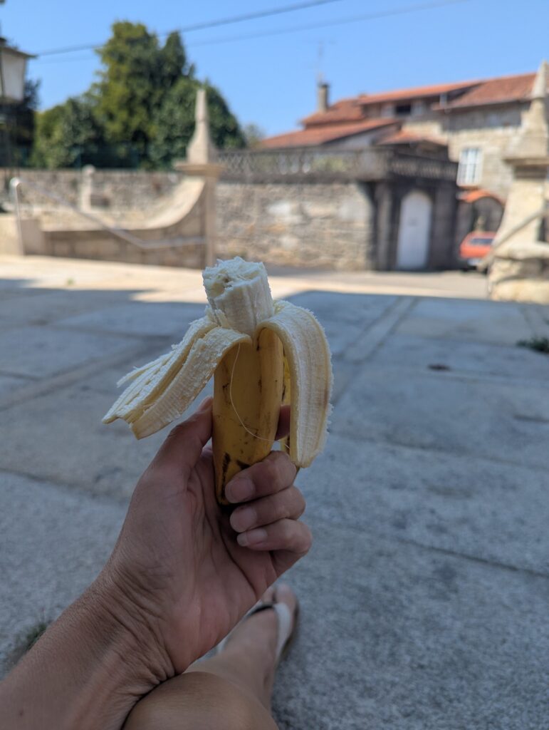 banana on the camino