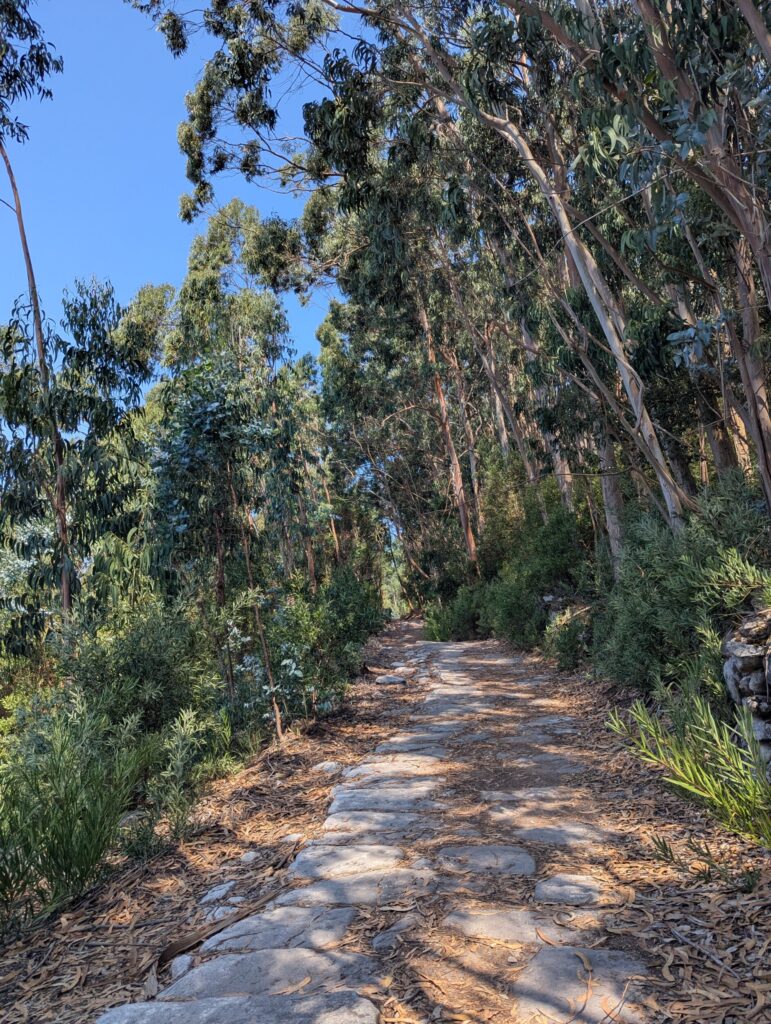 camino portugues portugal