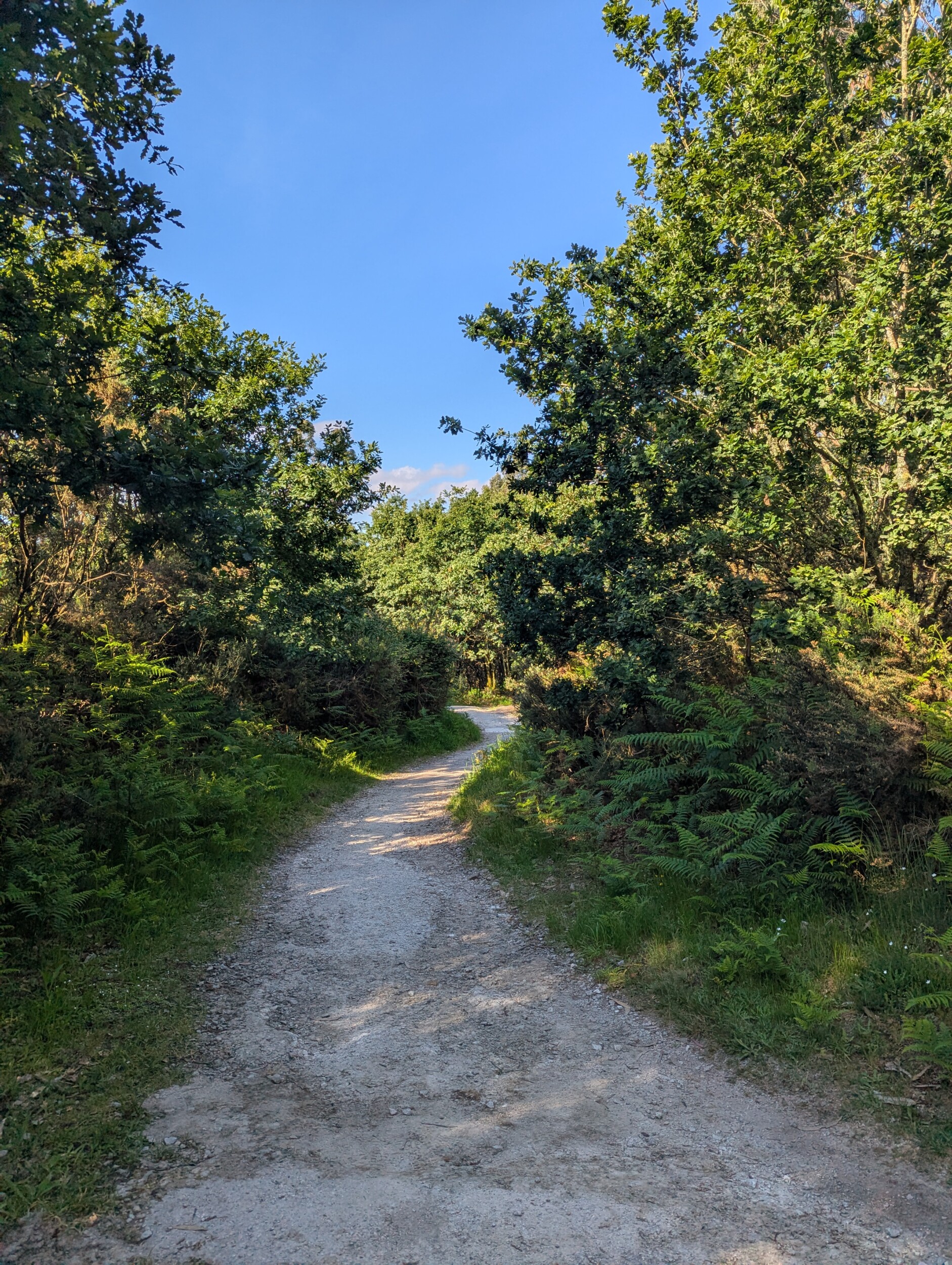 Camino finisterre Guide Spain