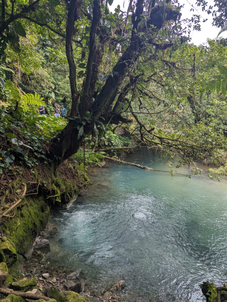 Los Borbollones - Rio Celeste