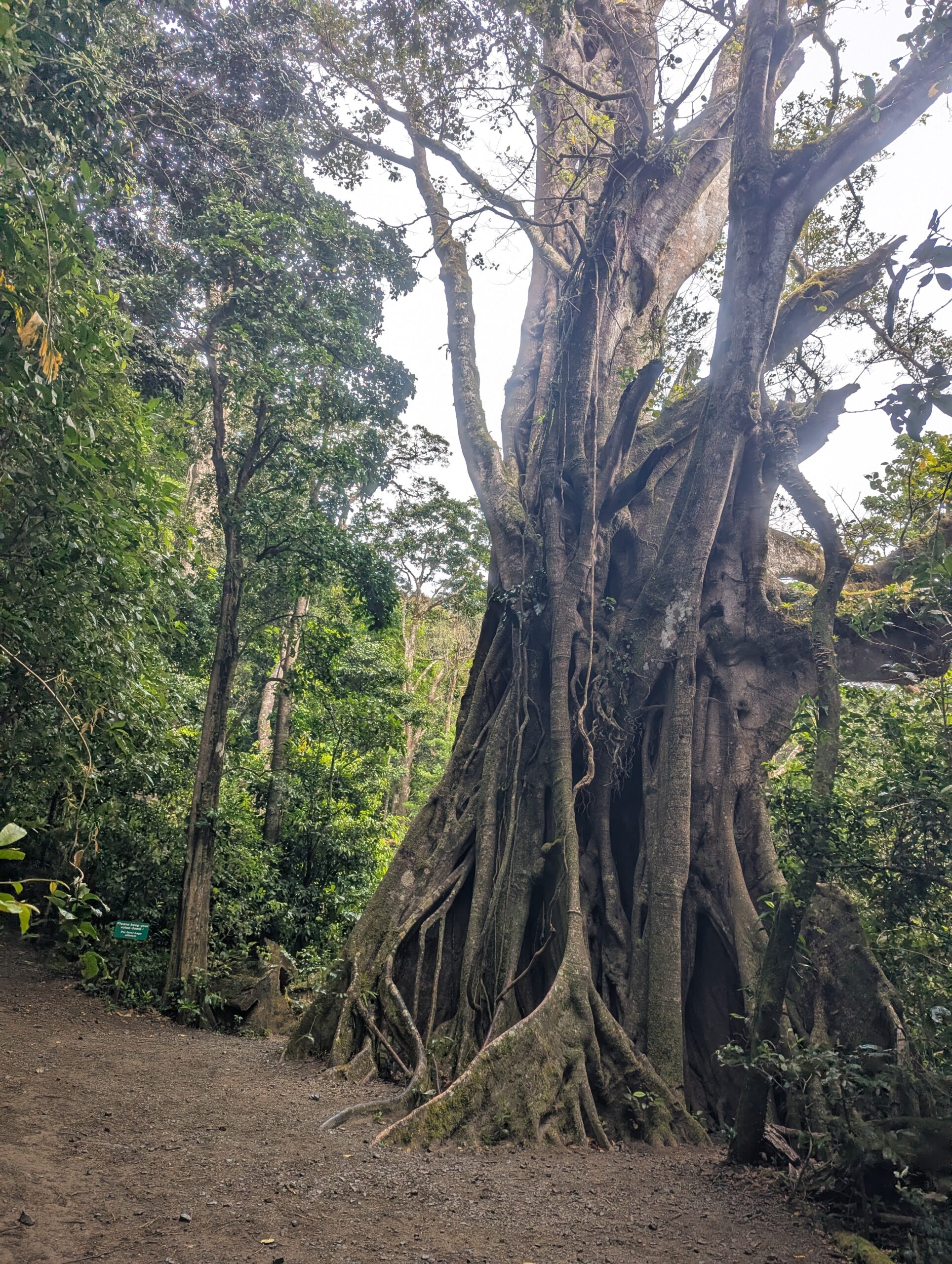 Visiting Curi Cancha Reserve - Monteverde - Costa Rica