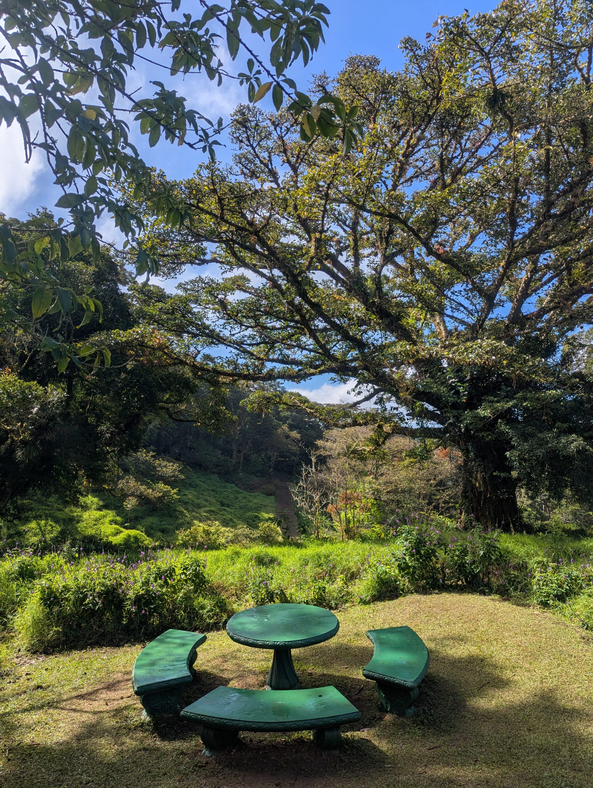 Visiting Curi Cancha Reserve - Monteverde - Costa Rica