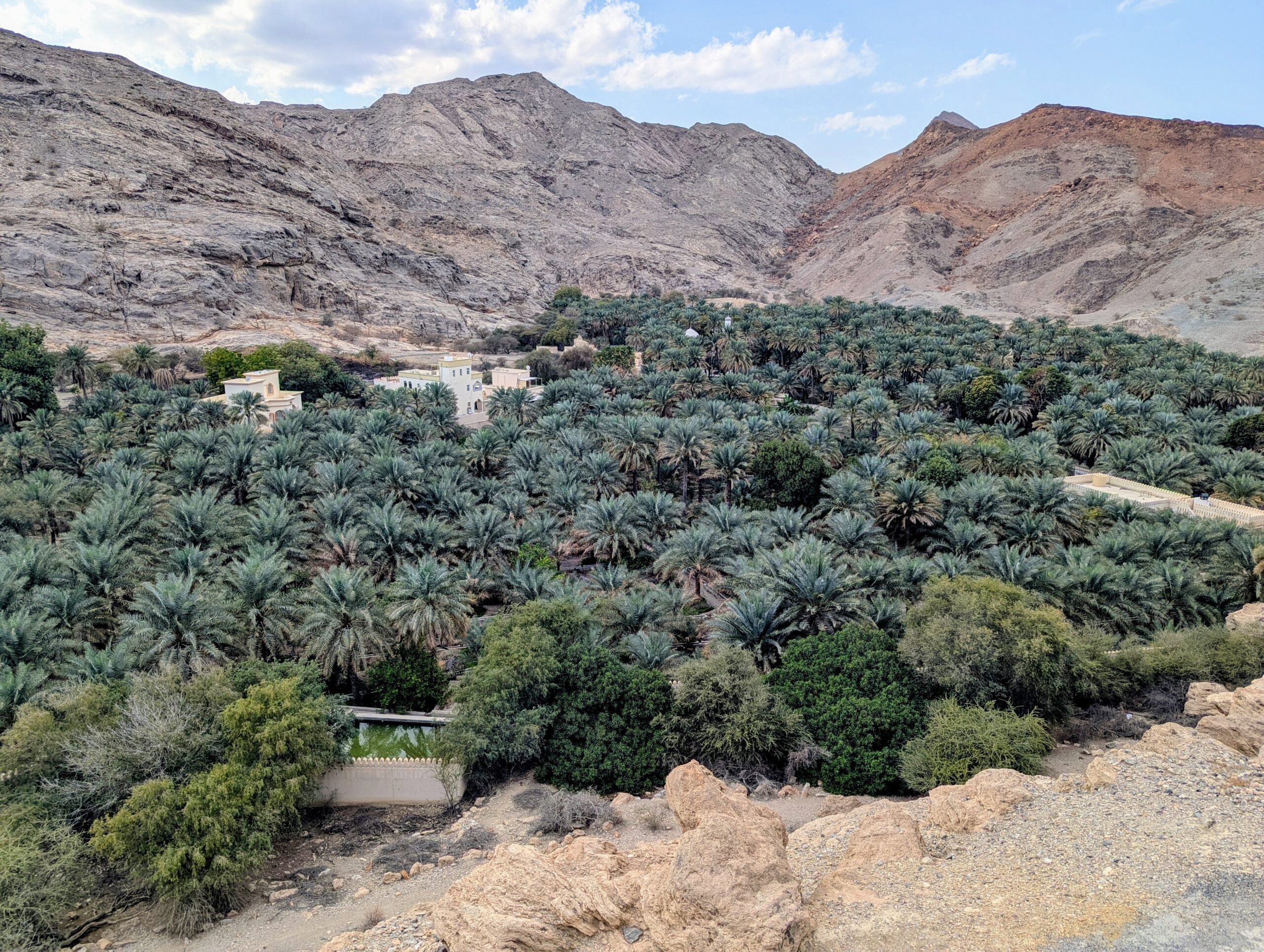 Palm oase near Fanja Fort