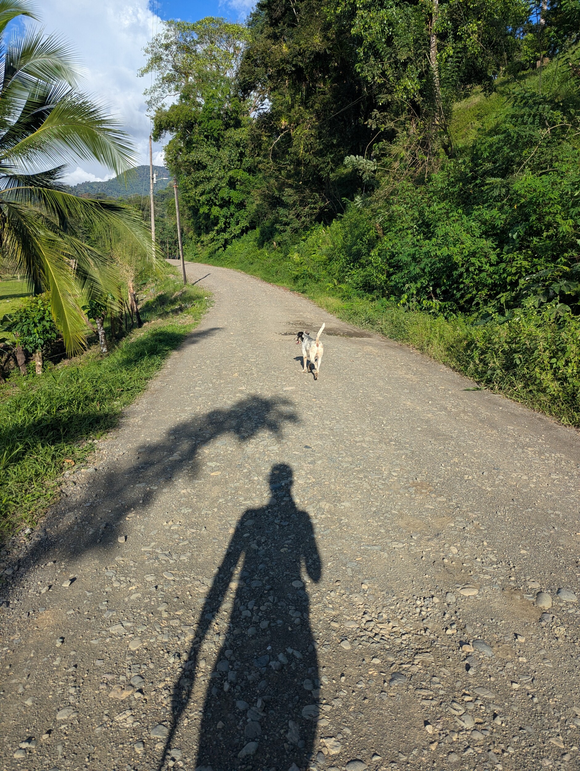 quepos Hike Costa Rica