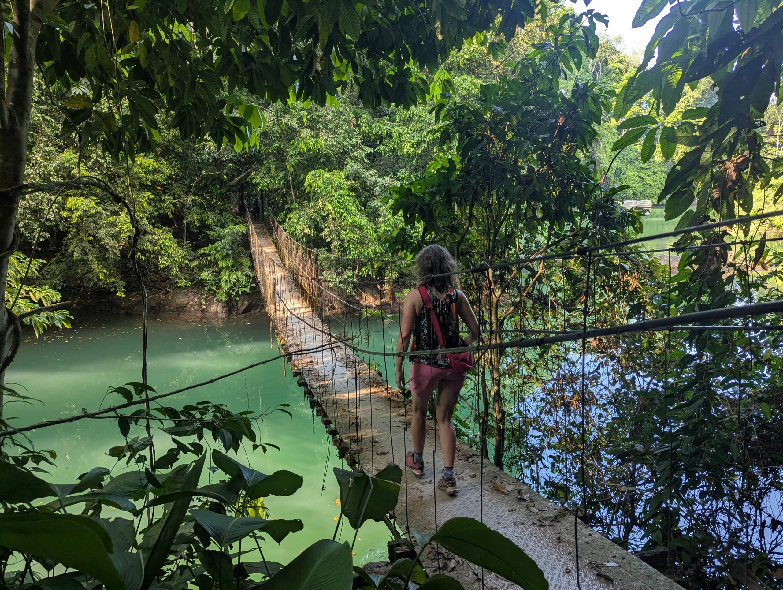 Drake Bay, Costa Rica: Snorkeling, Hiking and Wildlife in the Osa Peninsula's Wildest Corner
