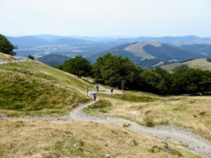 Yoga for hikers on the Camino