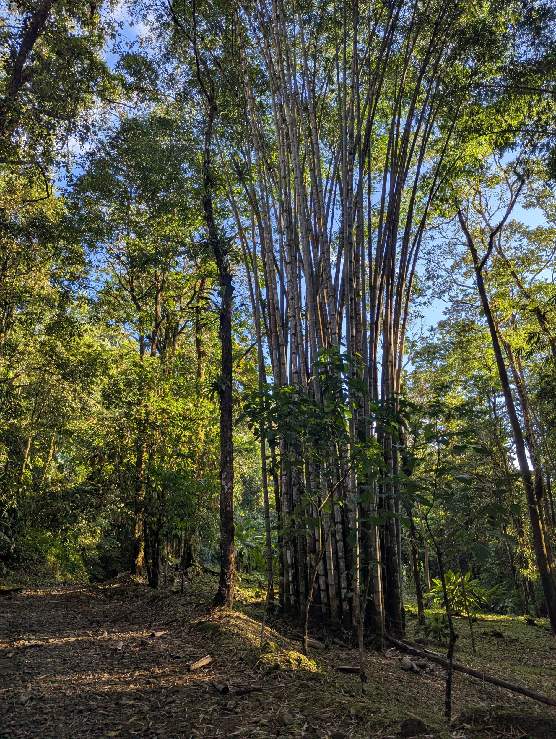 quepos Hike Costa Rica