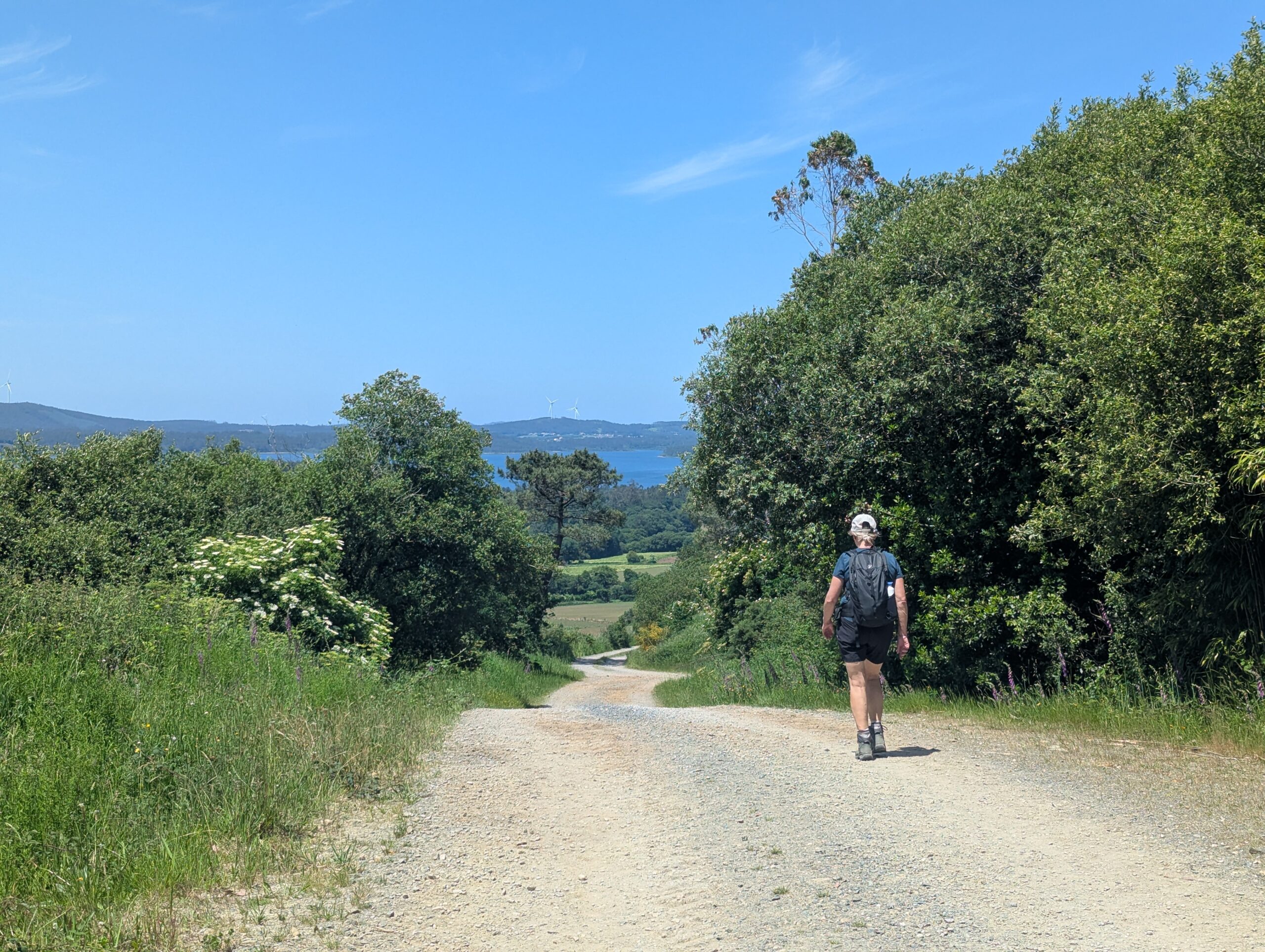 Camino Finisterre: Everything You Need to Know About the Pilgrimage Route to the End of the World